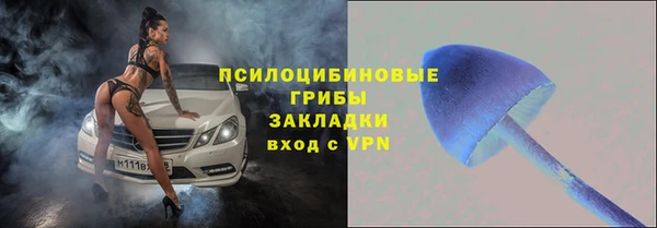 шишки Балабаново