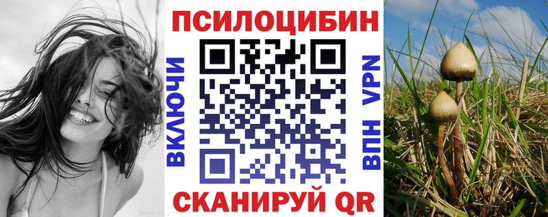 Галлюциногенные грибы прущие грибы  kraken ТОР  Горнозаводск  где можно купить наркотик 