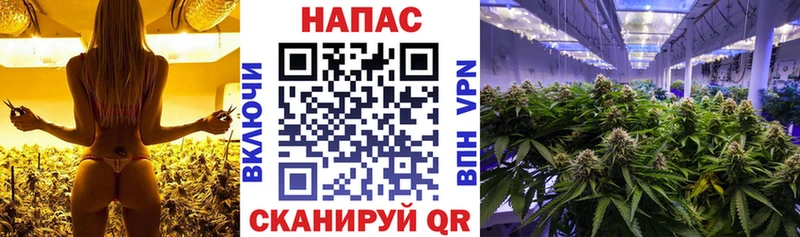 Конопля марихуана  хочу   Горнозаводск 